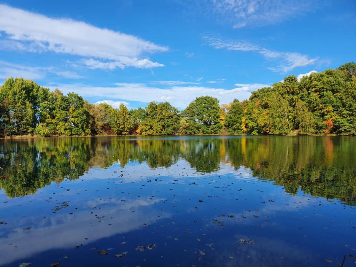 Ferienwohnung Am See Dillich - Eigener Garten - Ruhige Lage - Natur Vor Der Haustuer Borken  Bagian luar foto