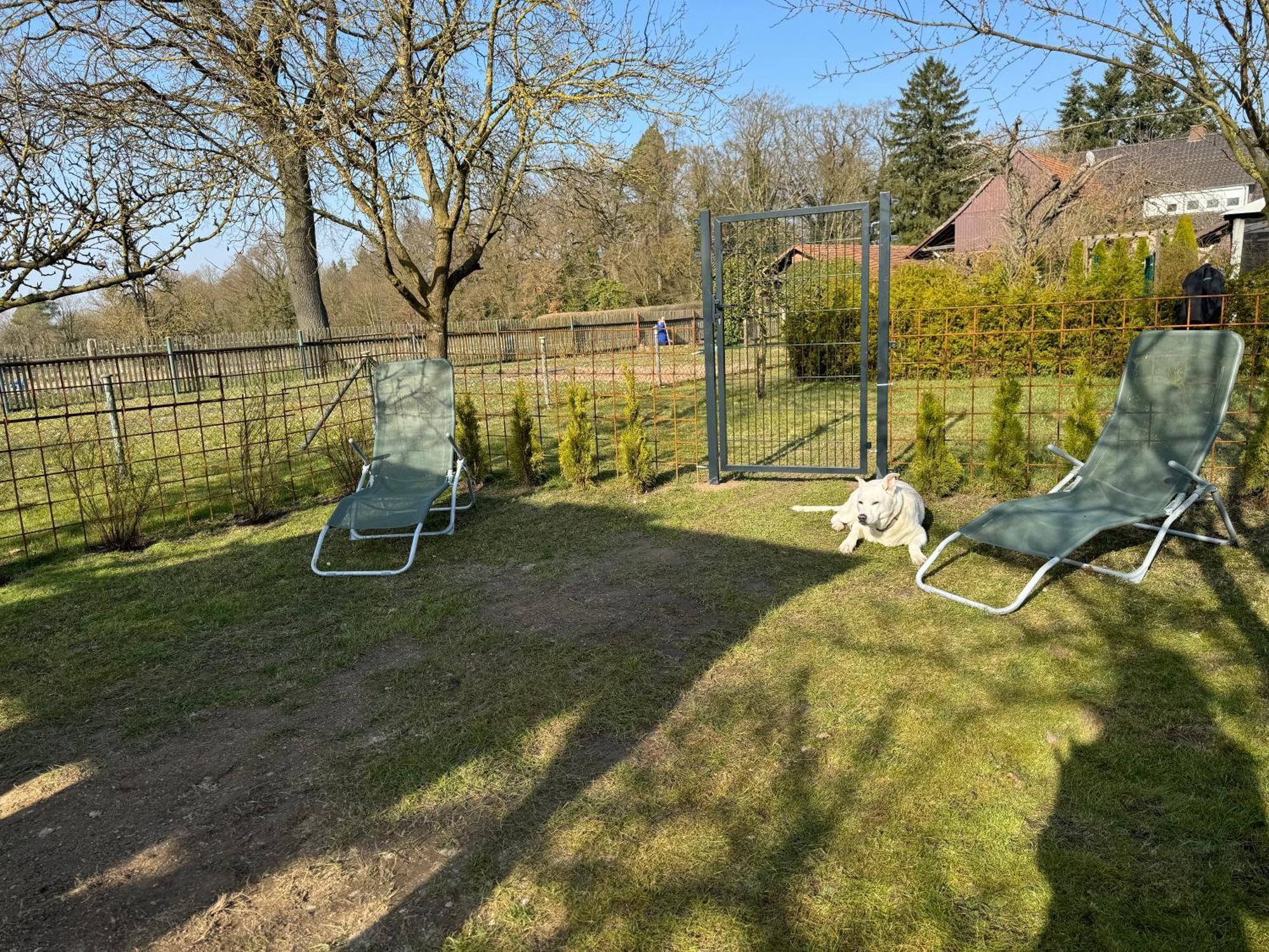 Ferienwohnung Am See Dillich - Eigener Garten - Ruhige Lage - Natur Vor Der Haustuer Borken  Bagian luar foto